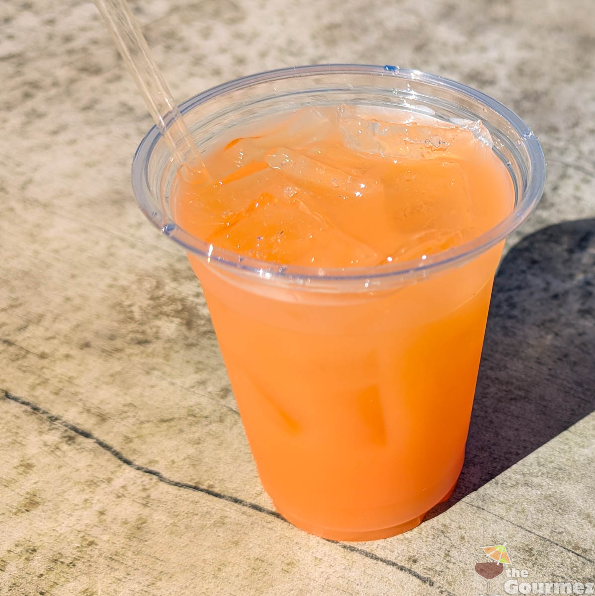 red's java house greyhound