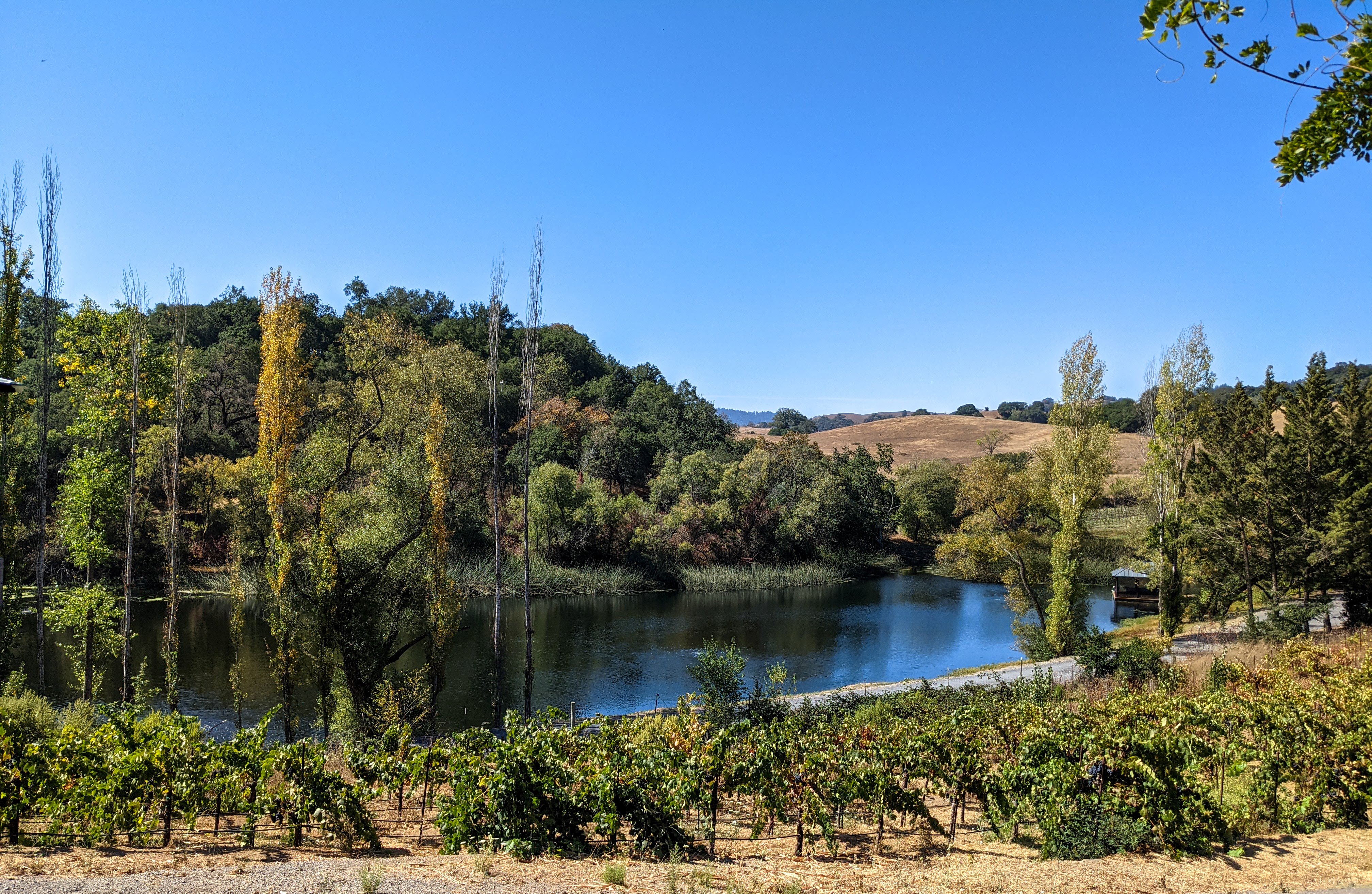 matrix winery patio view lake